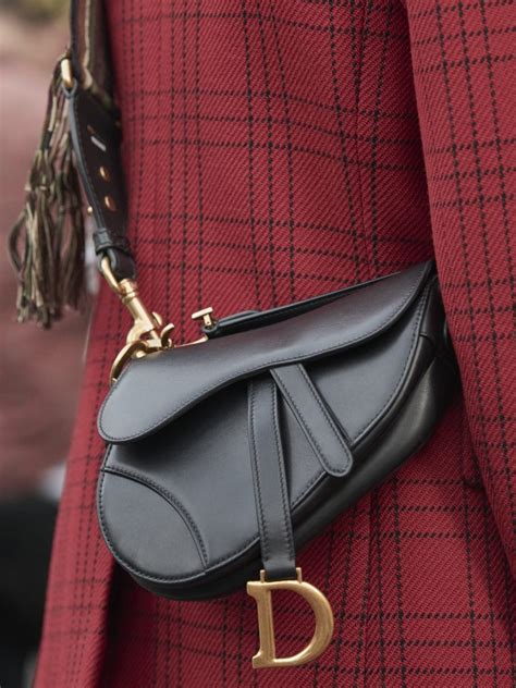 dior saddle bag carrie bradshaw
